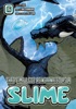 Book That Time I Got Reincarnated as a Slime volume 16