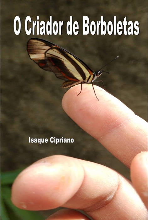 O Criador de Borboletas