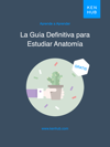 La Guía Definitiva para Estudiar Anatomía