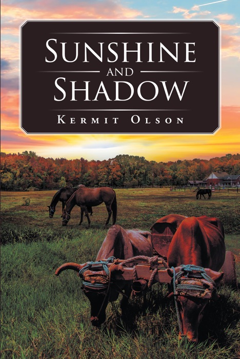Sunshine and Shadow