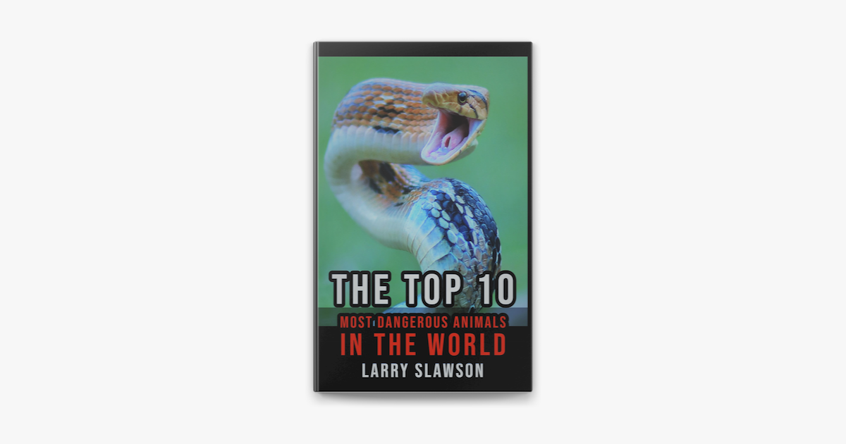 10 most dangerous animals
