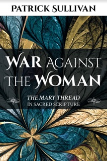 War Against The Woman by Patrick Sullivan