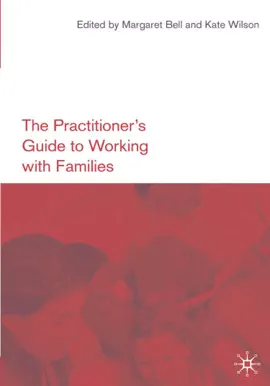 Read: Book The Practitioner's Guide to Working with Families