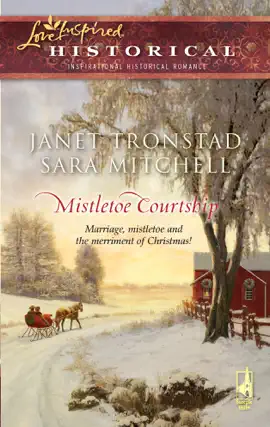 Read: Book Mistletoe Courtship