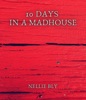 Book 10 Days in a Madhouse