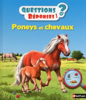 Poneys et chevaux - Questions/Réponses - doc dès 5 ans by Anne-Sophie Baumann