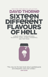 Sixteen Different Flavours of Hell