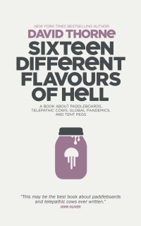 Sixteen Different Flavours of Hell by David Thorne