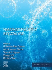 Nanomaterials for Biocatalysis - Guillermo R Castro, Ashok Kumar Nadda, Tuan Anh Nguyen, Xianghui Qi & Ghulam Yasin