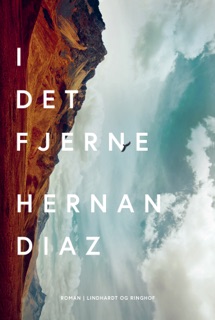 I det fjerne by Hernán Díaz