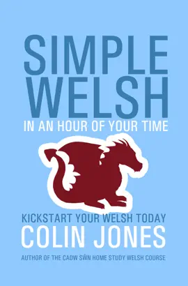 Read: Simple Welsh in an Hour of Book Your Time