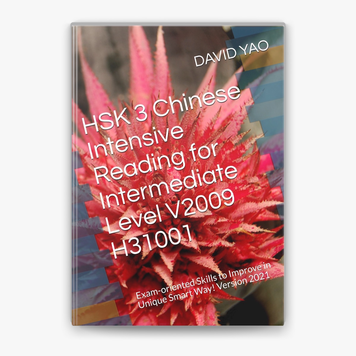 HSK 3 Chinese Intensive Reading for Intermediate Level V2009