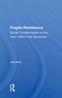 Fragile Resistance by John Foran
