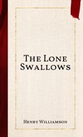 The Lone Swallows - Henry Williamson