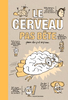 Le cerveau pas bête by Albert Moukheiber, Raphaël Martin & Pascal Lemaître