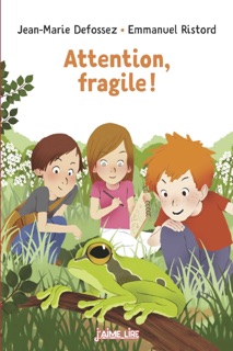 Attention, fragile ! by Emmanuel Ristord & Jean-Marie Defossez