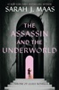 Book The Assassin and the Underworld