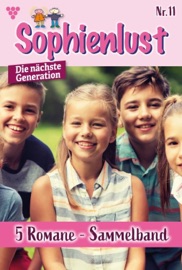 5 Romane - Diverse Autoren