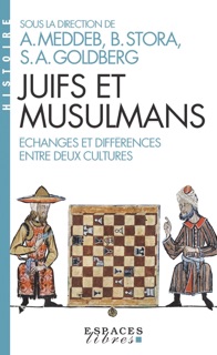 Juifs et musulmans by Various Authors, Abdelwahab Meddeb & Benjamin Stora