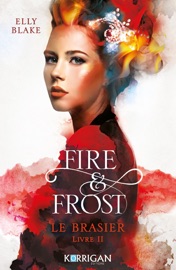 Fire & Frost T2