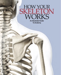 How Your Skeleton Works by Peter Abrahams