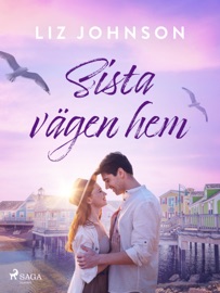 Sista vägen hem - Liz Johnson