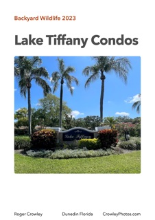 LTCondos copy by Roger Crowley