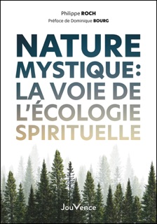 Nature mystique : La voie de l'écologie spirituelle by Dominique Bourg & Philippe Roch