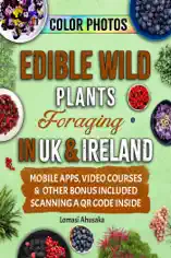 Edible Wild Plants Foraging in UK & Ireland