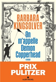 On m'appelle Demon Copperhead by Barbara Kingsolver & Martine Aubert