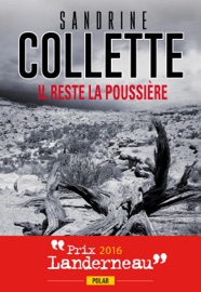 Il reste la poussière : Prix Landerneau Polar 2016 - Sandrine Collette