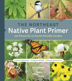 Book The Northeast Native Plant Primer - Uli Lorimer & Native Plant Trust