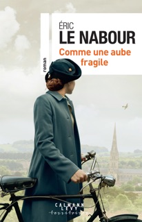 Comme une aube fragile by Eric Le Nabour