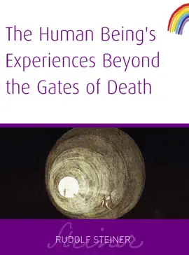 Read: Human Being's Experiences Beyond The Gates of Death Book