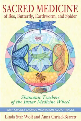 Read: Sacred Medicine of Bee, Butterfly, Earthworm, and Book Spider