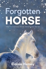 The Forgotten Horse - Book 1 in the Connemara Horse Adventure Series for Kids