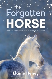 The Forgotten Horse - Book 1 in the Connemara Horse Adventure Series for Kids by Elaine Heney