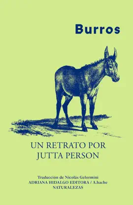 Read: Burros