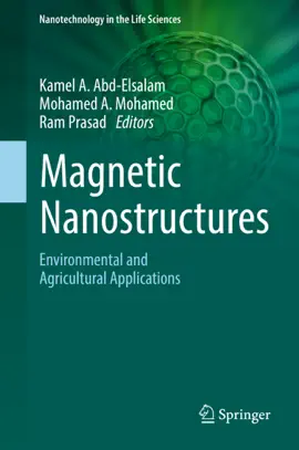 Read: Book Magnetic Nanostructures