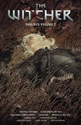 Read: The Witcher Omnibus Volume Book 2