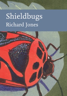 Shieldbugs by Richard Jones