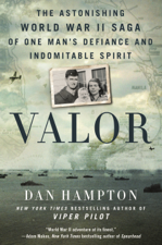 Valor - Dan Hampton Cover Art