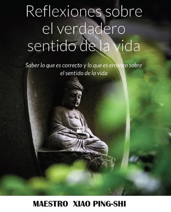 Reflexiones sobre el verdadero sentido de la vida