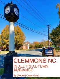Clemmons NC In All Its Autumn Ambiance - Robert Owen Cobb