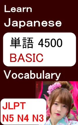 Read: JAPANESE Book BASIC WORDS 4500 基本単語