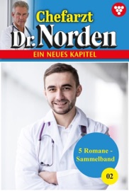 5 Romane - Diverse Autoren