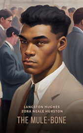 The Mule-Bone - Langston Hughes & Neale Hurston