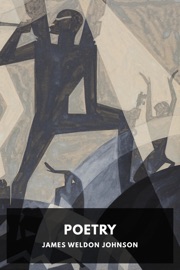 Poetry - James Weldon Johnson