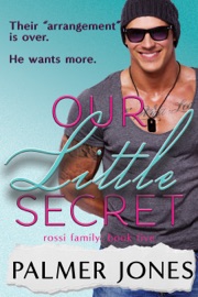 Our Little Secret - Palmer Jones