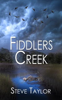 Fiddlers Creek by Steve Taylor